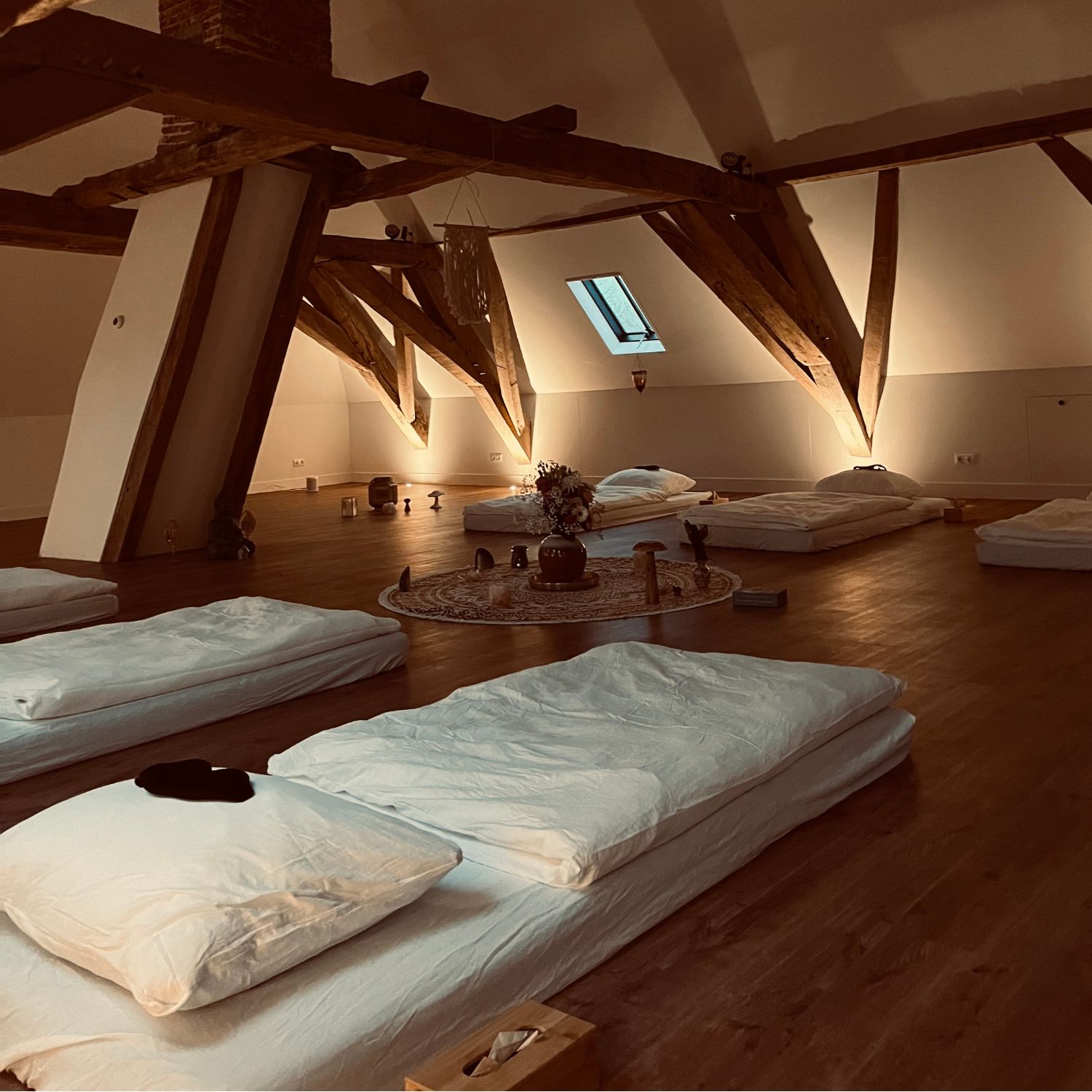 psychedelisches Coaching Retreat